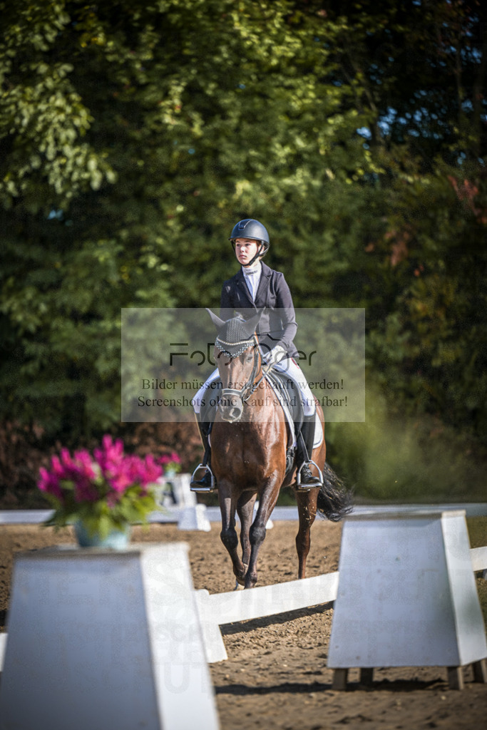 DOS_0611 | Entdecke hochwertige Reitturnierfotos von Foto Oger. Professionell, emotional und authentisch – jetzt Lieblingsmomente im Shop bestellen.Deutschlandweite Turnierfotografie. - Realisiert mit Pictrs.com