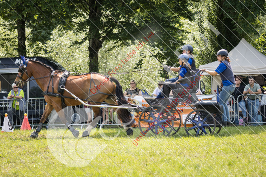 IMG_7944 | Sport-, Event- und Tierfotos in Profiqualität. Einfach auswählen, bestellen und herunterladen. Dein Moment – perfekt festgehalten.