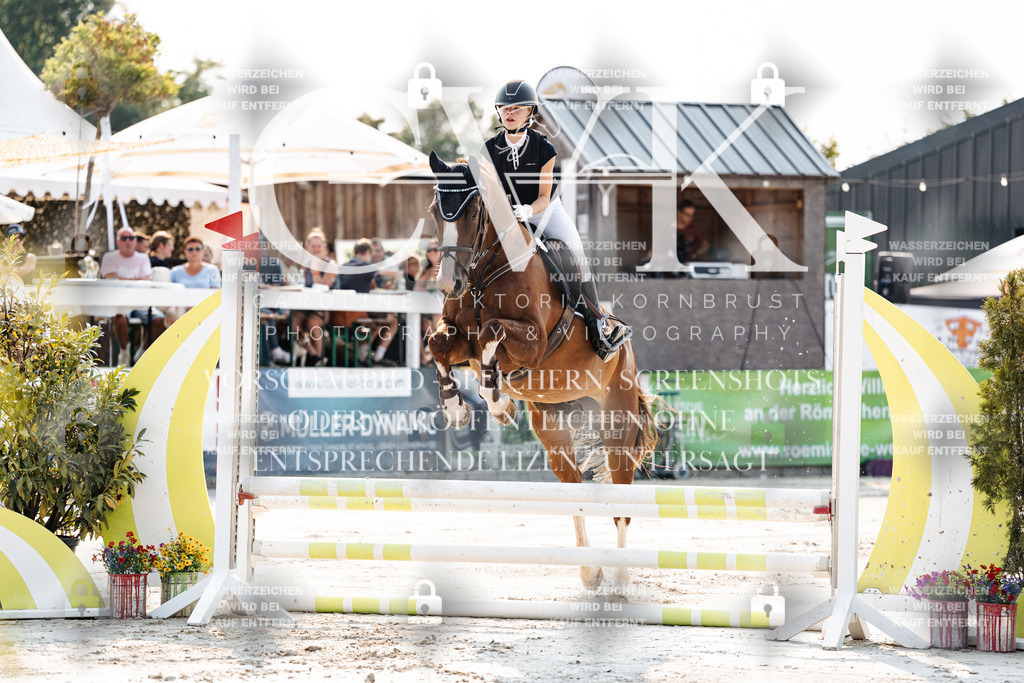 CK902767 | Turnierfotografie Pferdefotografie Trier Rheinland-Pfalz Pferdesport Reitsport Tierfotografie Sportfotografie Pferdevideo Pferdevideografie Equestrianvideography equestrianphotography  - Realisiert mit Pictrs.com