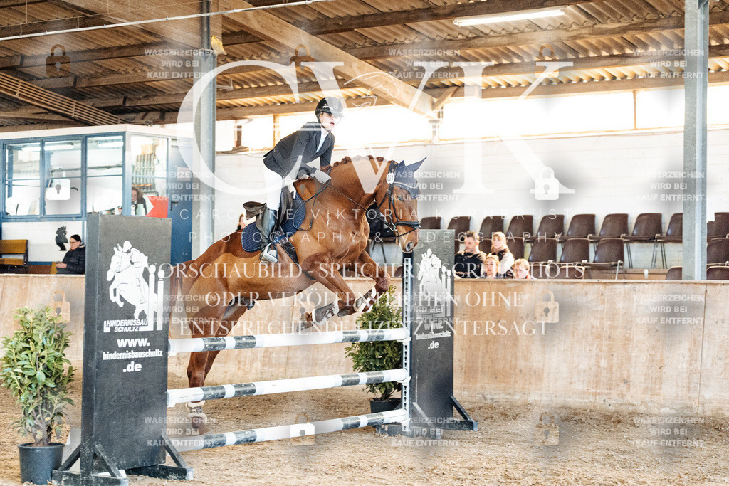 CK905003 | Turnierfotografie Pferdefotografie Trier Rheinland-Pfalz Pferdesport Reitsport Tierfotografie Sportfotografie Pferdevideo Pferdevideografie Equestrianvideography equestrianphotography  - Realized with Pictrs.com