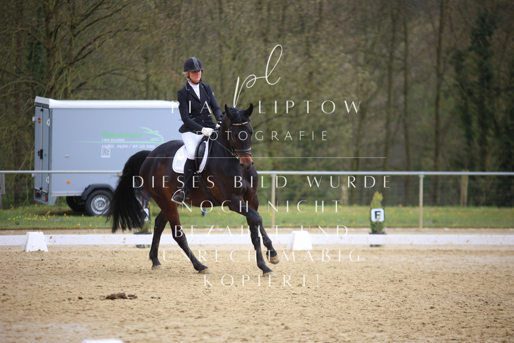 IMGT7112 | pl-fotografie