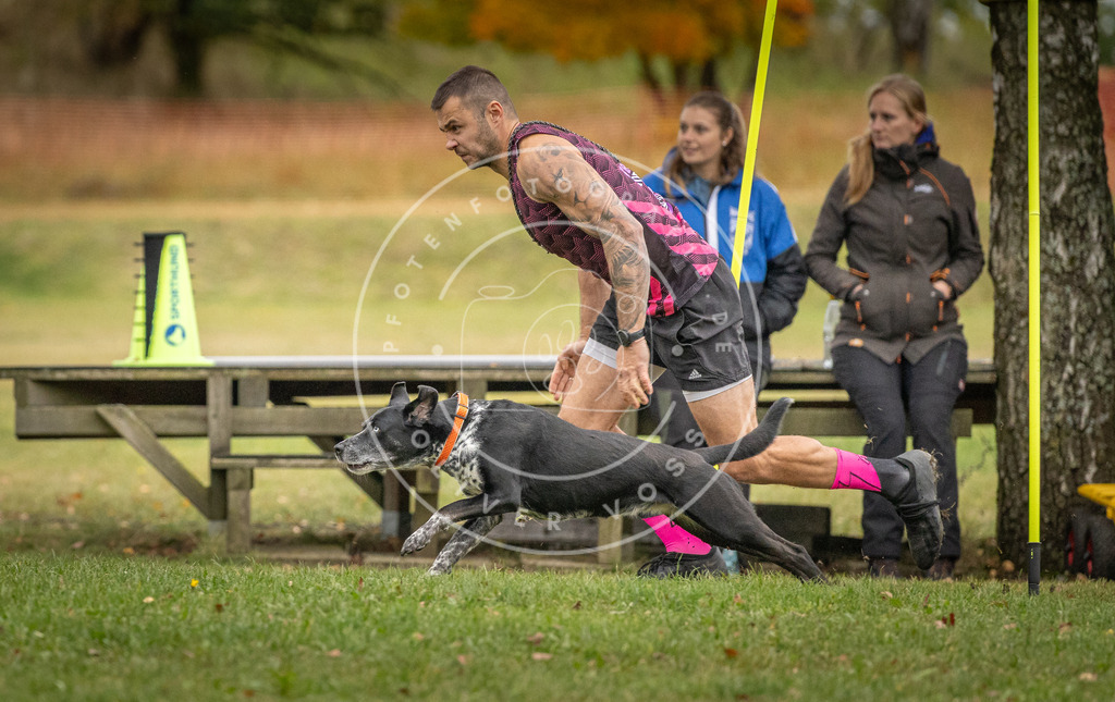 Pfotenfotografie_DV3A9809 | Hundefotografie, Tierfotograf, Pfotenfotografie, Fotoshooting Hund, Hunde Portrait, Hundesport, Hundeportraits, Heideshooting, Hunde, Sportfotograf, Hundefotograf, Turnierhundsport, THS,  - Realisiert mit Pictrs.com