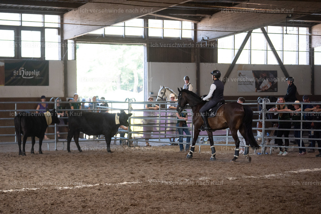 WM_COW_110_SinaFilmArt_IN04909 | working equitationturnier fotograf videograf stoibphotography marixx film working equitation deutschland reitsport turnierfotografie eventfotografie equestrian events