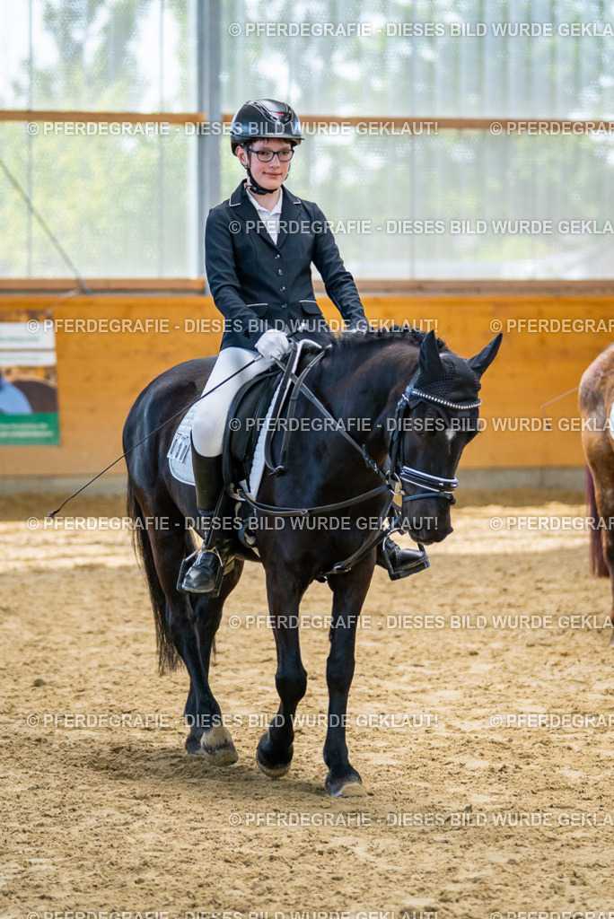 DSC01449 | Pferdegrafie