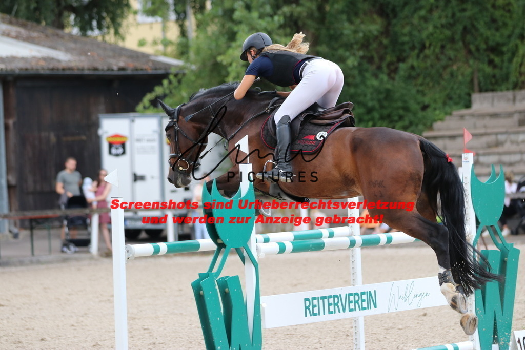 IMG_0292 | lmwpictures - Realisiert mit Pictrs.com