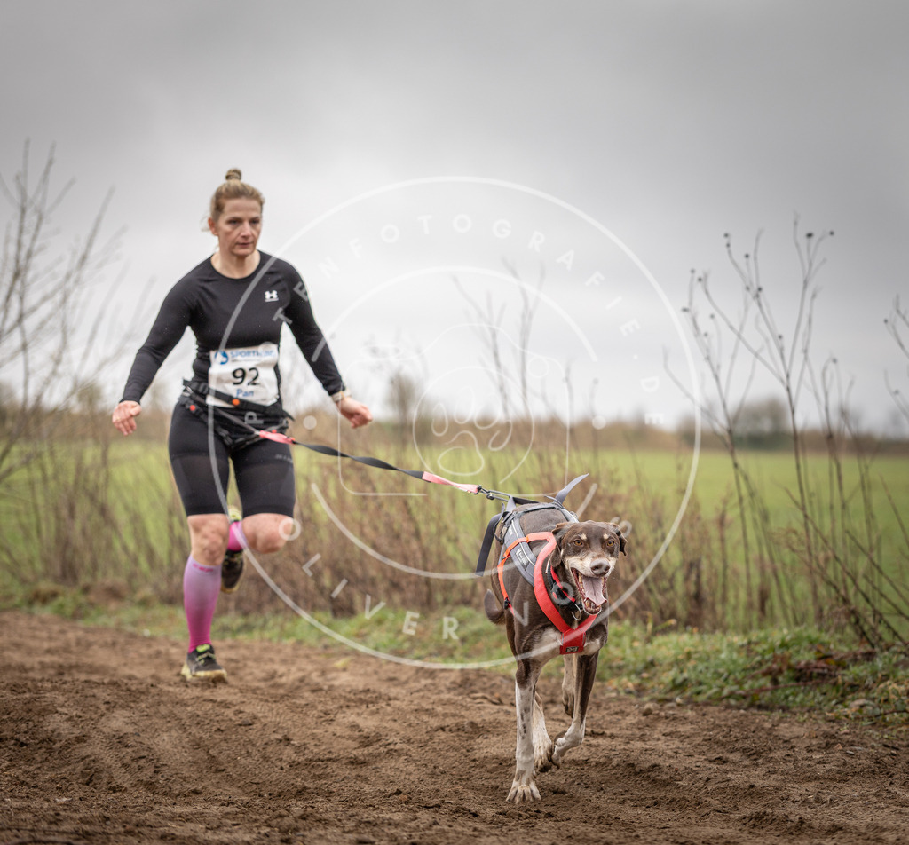DV3A0024 | Hundefotografie, Tierfotograf, Pfotenfotografie, Fotoshooting Hund, Hunde Portrait, Hundesport, Hundeportraits, Heideshooting, Hunde, Sportfotograf, Hundefotograf, Turnierhundsport, THS,  - Realisiert mit Pictrs.com