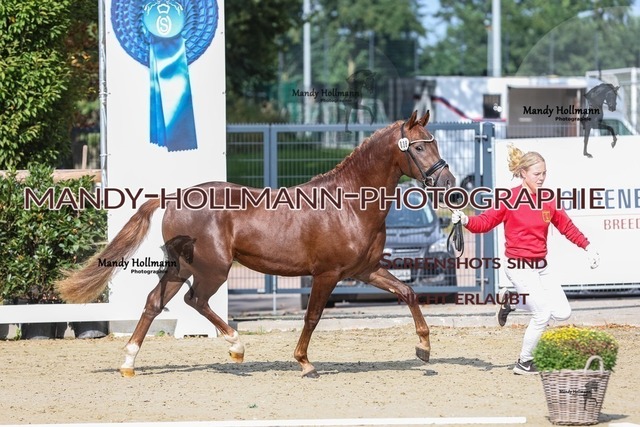 32-23 | mandyhollmannphotographie