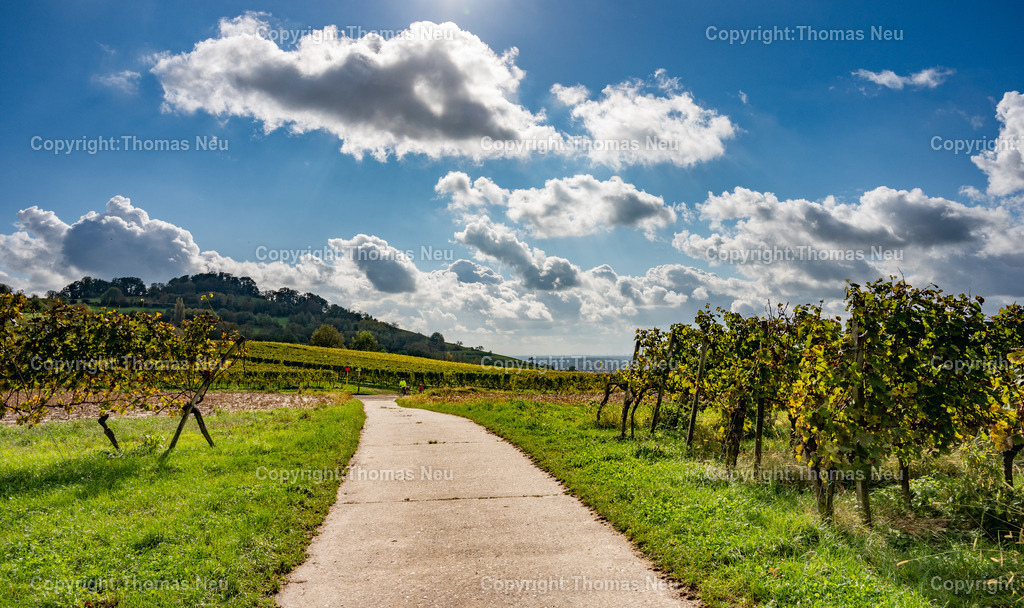 DSC_6910 | bre, in den Weinbergen zwischen Bensheim und Heppenheim, Herbststimmung ,Weinberge, Landschaftsfotografie,, Bild: Thomas Neu