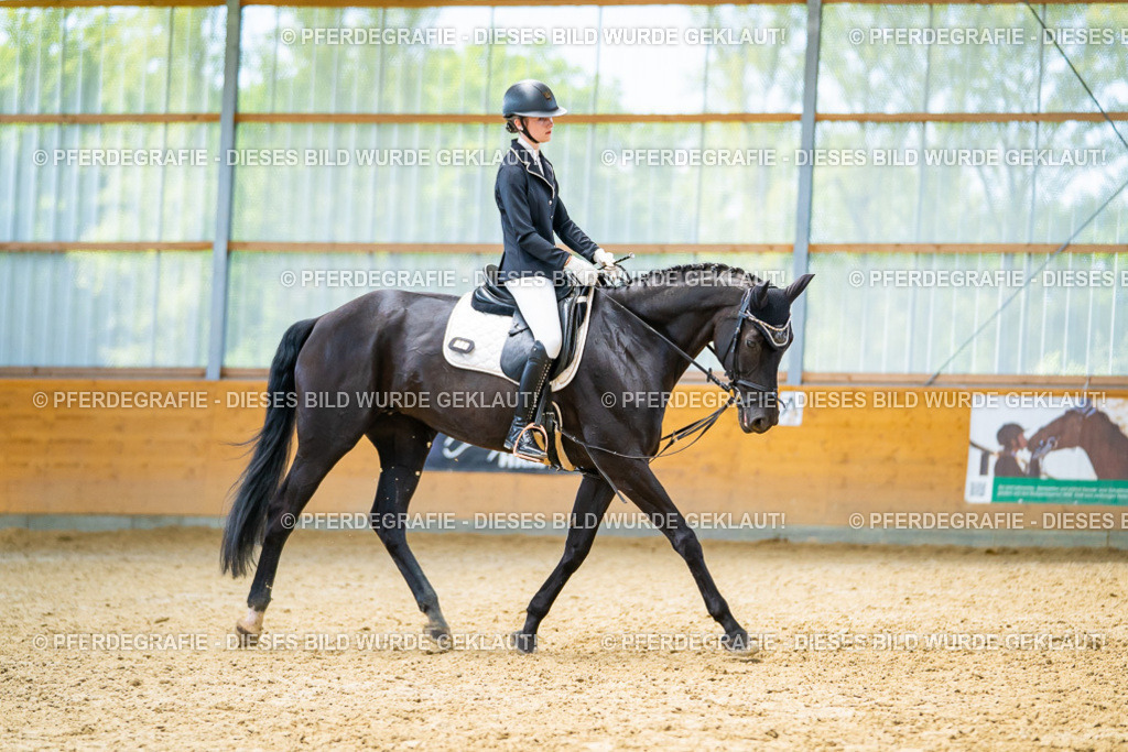 DSC09320 | Pferdegrafie