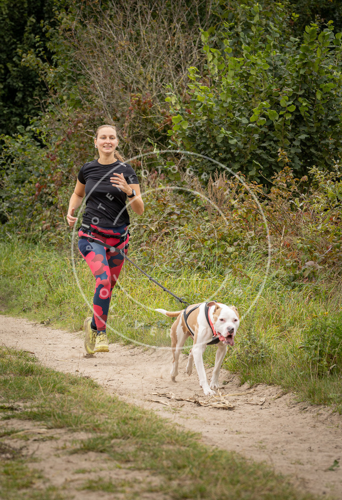 Pfotenfotografie_DV3A7292 | Hundefotografie, Tierfotograf, Pfotenfotografie, Fotoshooting Hund, Hunde Portrait, Hundesport, Hundeportraits, Heideshooting, Hunde, Sportfotograf, Hundefotograf, Turnierhundsport, THS,  - Realisiert mit Pictrs.com