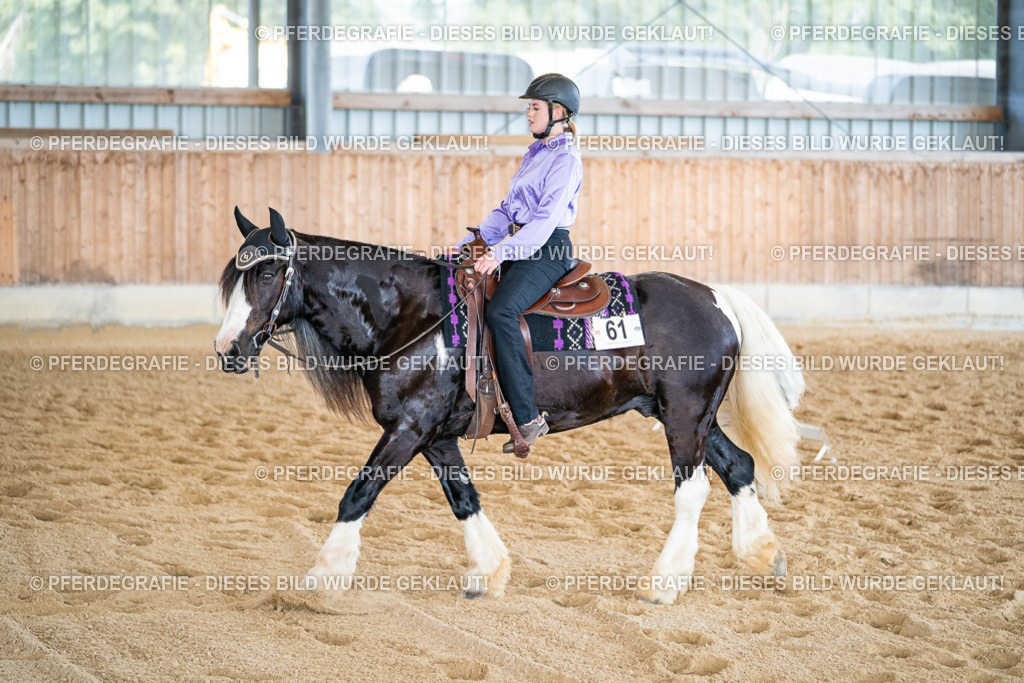 DSC03197 | Pferdegrafie