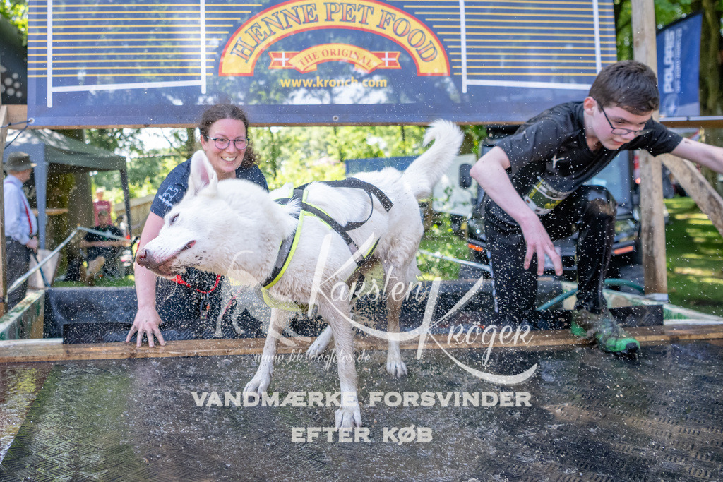 1402_ZZ93253 | kk-dogfotos