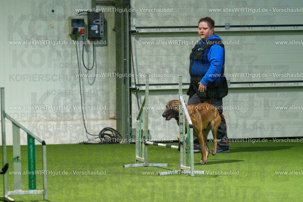 7R507497 | Professionelle Tierfotografie in Mönchengladbach von Daniel Wirth (allesWIRTHgut). Liebevolle & natürliche Bilder von Hunden & Katzen für unvergessliche Erinnerungen.