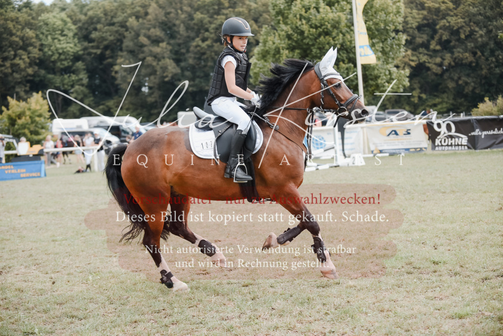 DSC_5488 | Pferde- und Turnierfotografie in Westsachsen. Pferdeportraits, Auftragszeichnungen und intuitive Kunst.