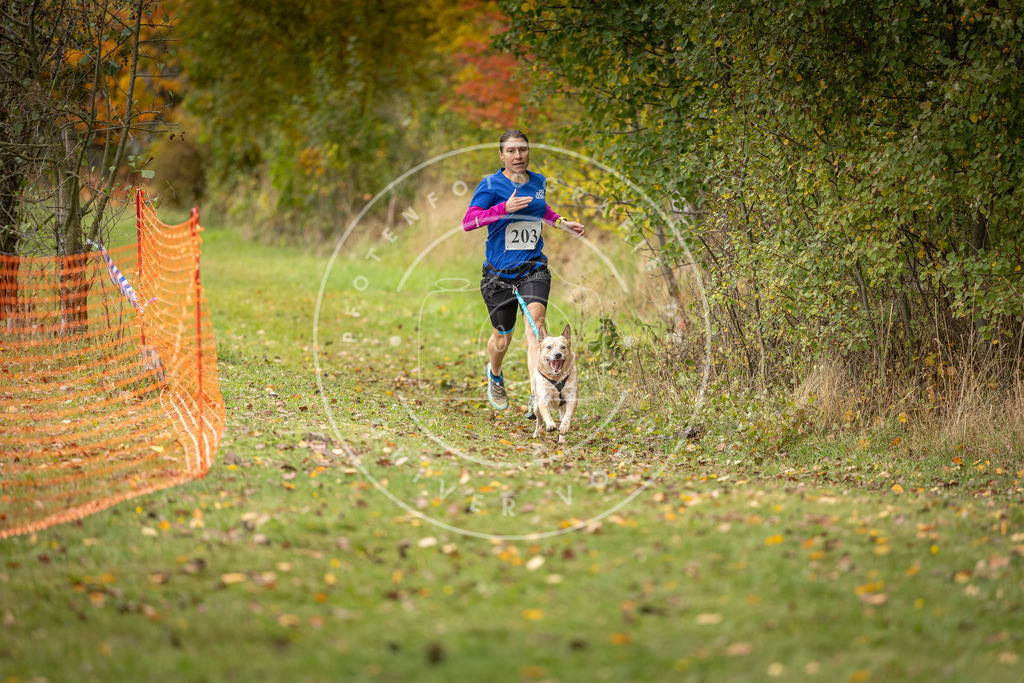 Pfotenfotografie_DV3A4078 | Hundefotografie, Tierfotograf, Pfotenfotografie, Fotoshooting Hund, Hunde Portrait, Hundesport, Hundeportraits, Heideshooting, Hunde, Sportfotograf, Hundefotograf, Turnierhundsport, THS,  - Realisiert mit Pictrs.com