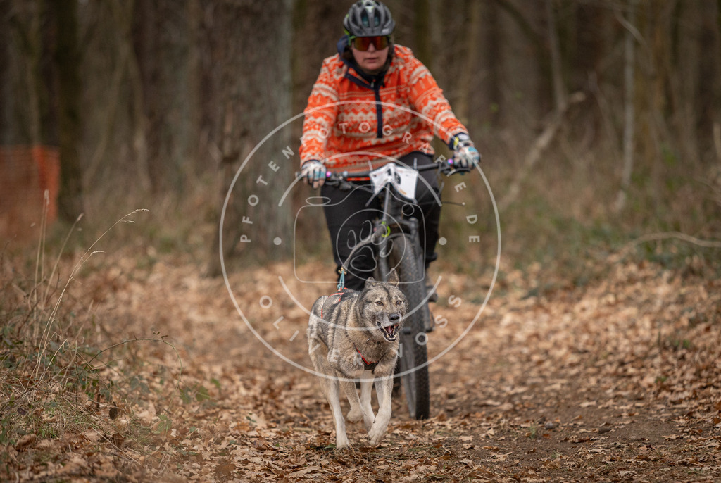 Pfotenfotografie_DV3A7127 | Hundefotografie, Tierfotograf, Pfotenfotografie, Fotoshooting Hund, Hunde Portrait, Hundesport, Hundeportraits, Heideshooting, Hunde, Sportfotograf, Hundefotograf, Turnierhundsport, THS,  - Realisiert mit Pictrs.com