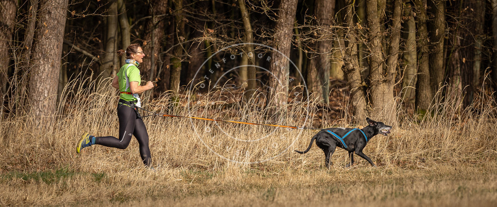 DV3A3873 | Hundefotografie, Tierfotograf, Pfotenfotografie, Fotoshooting Hund, Hunde Portrait, Hundesport, Hundeportraits, Heideshooting, Hunde, Sportfotograf, Hundefotograf, Turnierhundsport, THS,  - Realisiert mit Pictrs.com