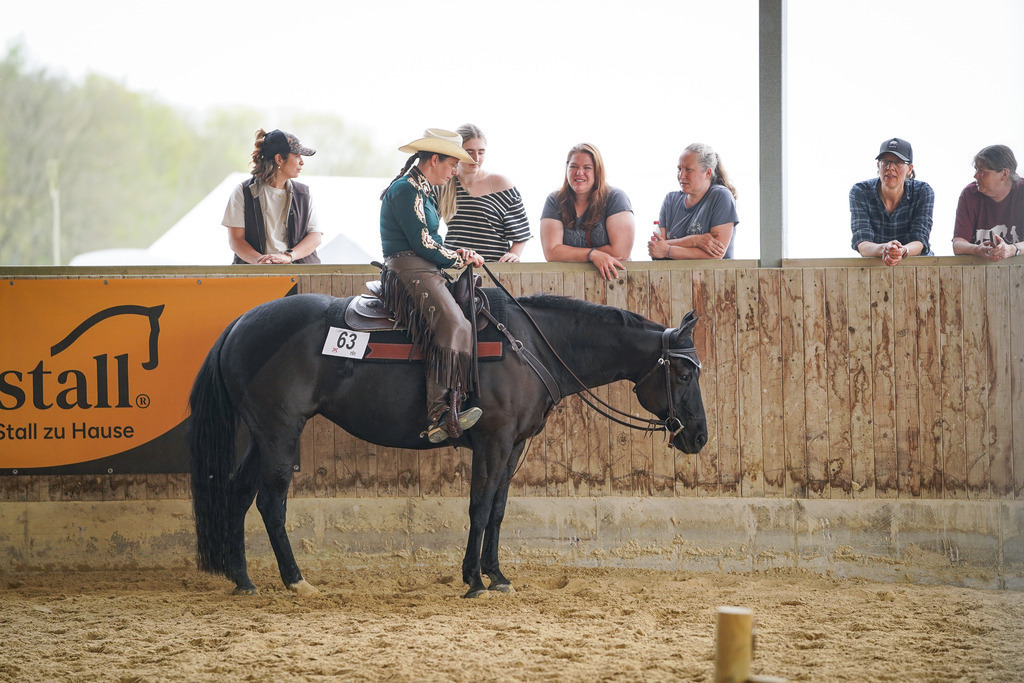 DSC05049 | Pferdegrafie