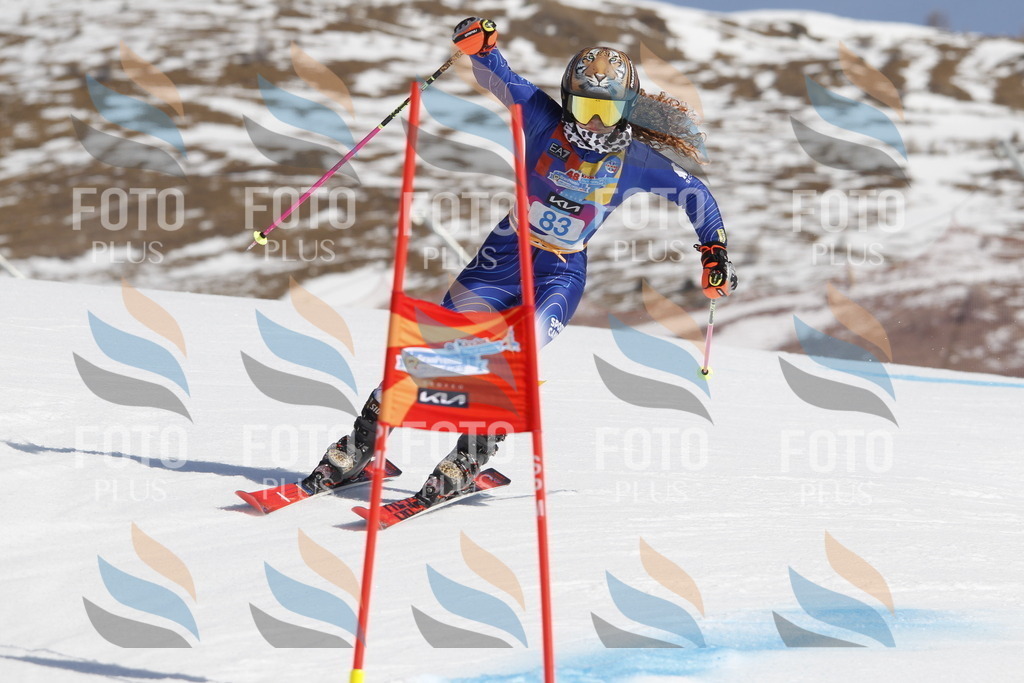 _U3G0054 | holidayphoto