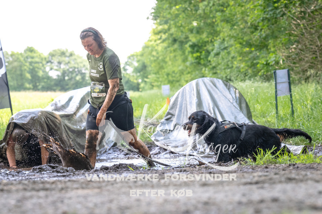 1205_ZZ91340 | kk-dogfotos