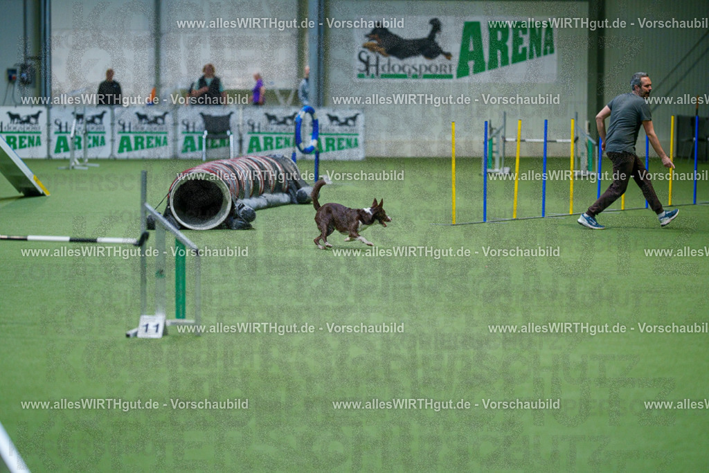 @allesWIRTHgut_Tierfotografie - www.allesWIRTHgut.de - 2604250837-7R507152 | Professionelle Tierfotografie in Mönchengladbach von Daniel Wirth (allesWIRTHgut). Liebevolle & natürliche Bilder von Hunden & Katzen für unvergessliche Erinnerungen.