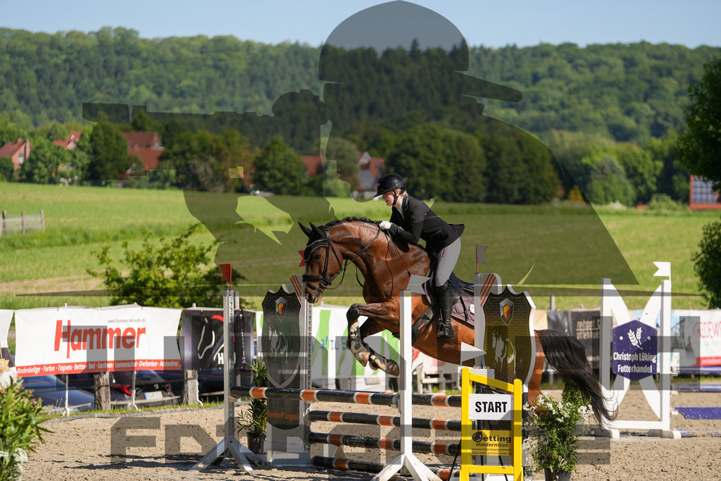 DSC02063 | Julian Held Fotografie - Realisiert mit Pictrs.com