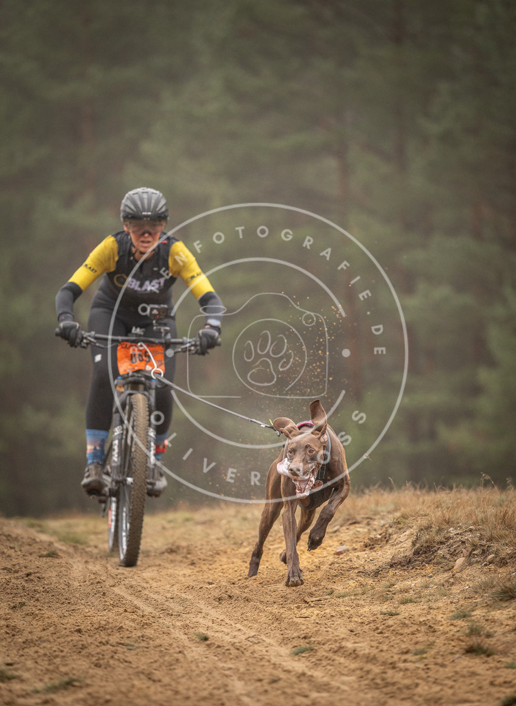 Pfotenfotografie_DV3A2470 | Hundefotografie, Tierfotograf, Pfotenfotografie, Fotoshooting Hund, Hunde Portrait, Hundesport, Hundeportraits, Heideshooting, Hunde, Sportfotograf, Hundefotograf, Turnierhundsport, THS,  - Realisiert mit Pictrs.com