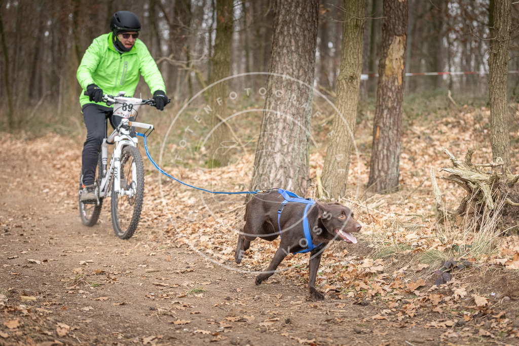 Pfotenfotografie_DV3A6527 | Hundefotografie, Tierfotograf, Pfotenfotografie, Fotoshooting Hund, Hunde Portrait, Hundesport, Hundeportraits, Heideshooting, Hunde, Sportfotograf, Hundefotograf, Turnierhundsport, THS,  - Realisiert mit Pictrs.com