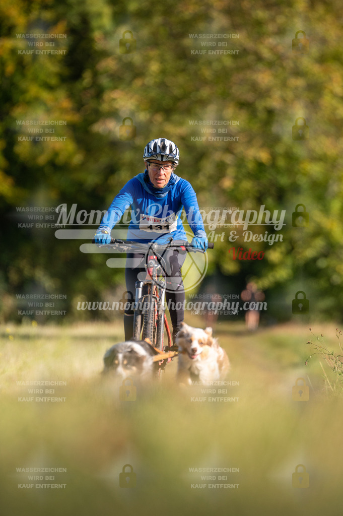 CDLBDB_15_10_2023_Dimanche-346 | mompixphotography