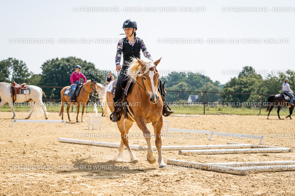 DSC00181 | Pferdegrafie