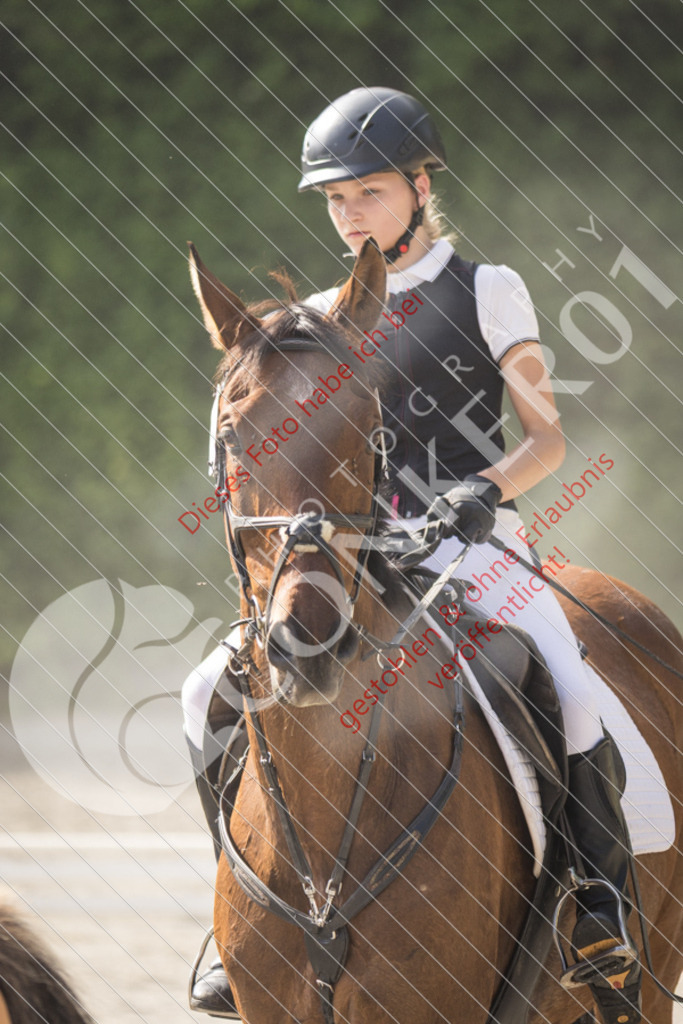 IMG_5787 | Sport-, Event- und Tierfotos in Profiqualität. Einfach auswählen, bestellen und herunterladen. Dein Moment – perfekt festgehalten.