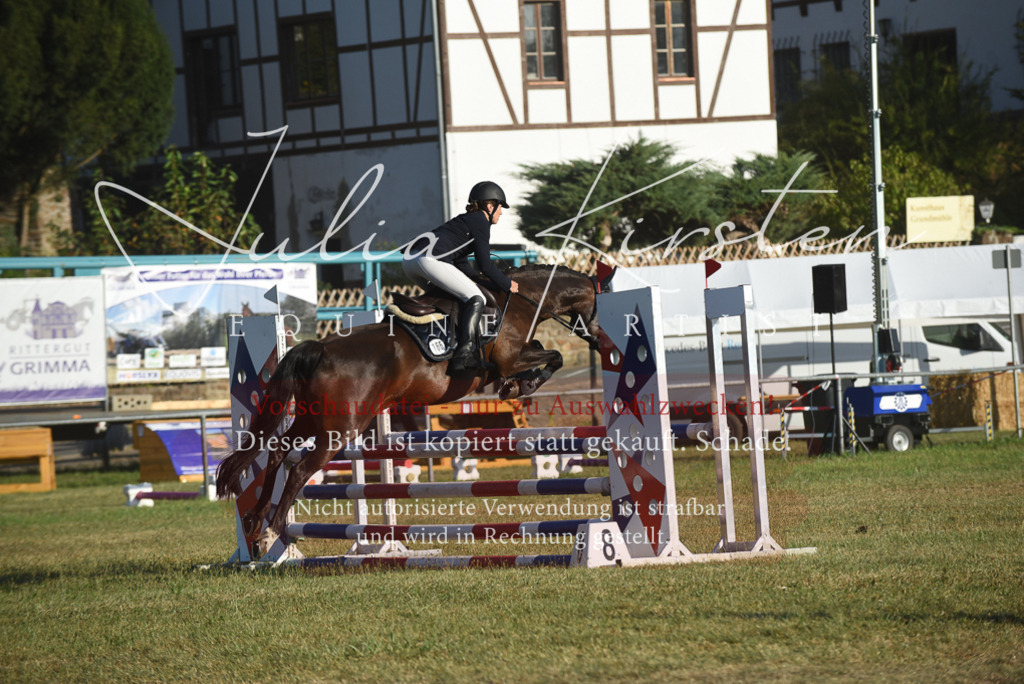 DSC_4915 | Pferde- und Turnierfotografie in Westsachsen. Pferdeportraits, Auftragszeichnungen und intuitive Kunst.