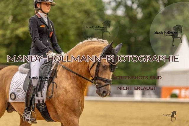 28-8-26 5j DRE-427 | mandyhollmannphotographie