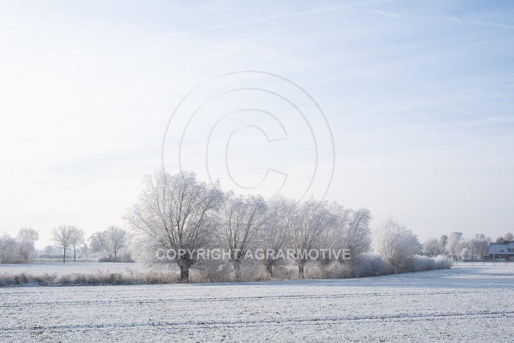 20221218-_DSF2554 | Schneebedeckte Landschaft bei eisiger Kälte - Realisiert mit Pictrs.com