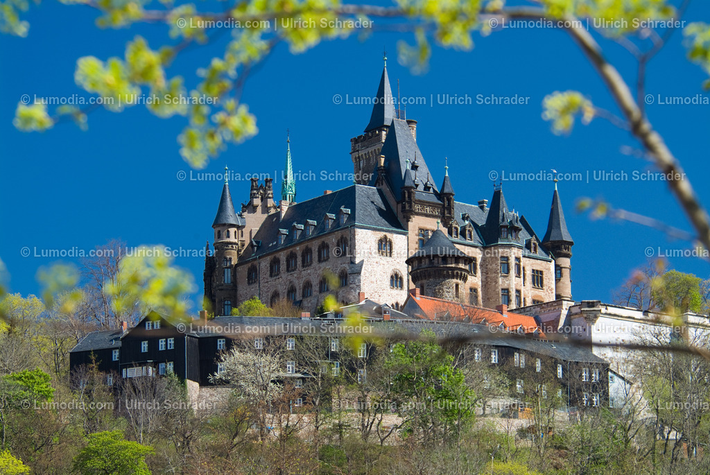 00491-1371 - Schloss Wernigerode | Stockfoto und Bilderpool mit Bildmaterial aus Deutschland, dem Harz, Halberstadt, Quedlinburg, Wernigerode und weltweit. Qualitativ hochwertige und professionelle Fotos anschauen und kaufen. - Realisiert mit Pictrs.com