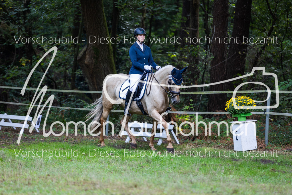 HB-A-Dressur-063 | MomenTaufnahmen Pferdesportfotos