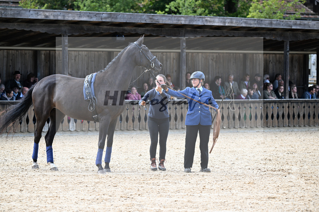 Berufsschaubild Pferdewirt_34251741 | hf-fotografie - Realisiert mit Pictrs.com