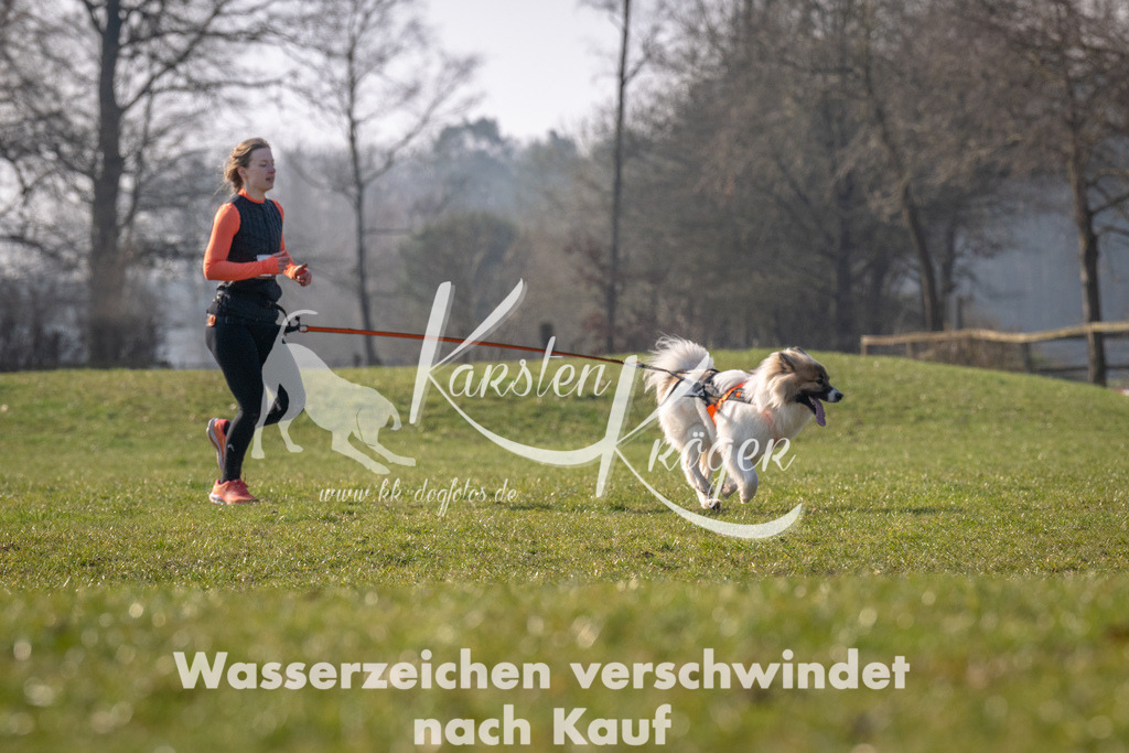 _ZZ93915 | kk-dogfotos