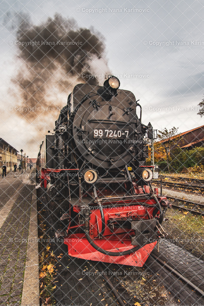 DSC06163 | ikphotography - Realisiert mit Pictrs.com