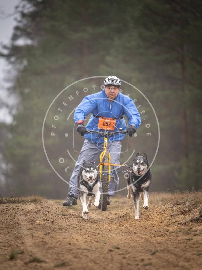 Pfotenfotografie_DV3A1254 | Hundefotografie, Tierfotograf, Pfotenfotografie, Fotoshooting Hund, Hunde Portrait, Hundesport, Hundeportraits, Heideshooting, Hunde, Sportfotograf, Hundefotograf, Turnierhundsport, THS,  - Realisiert mit Pictrs.com