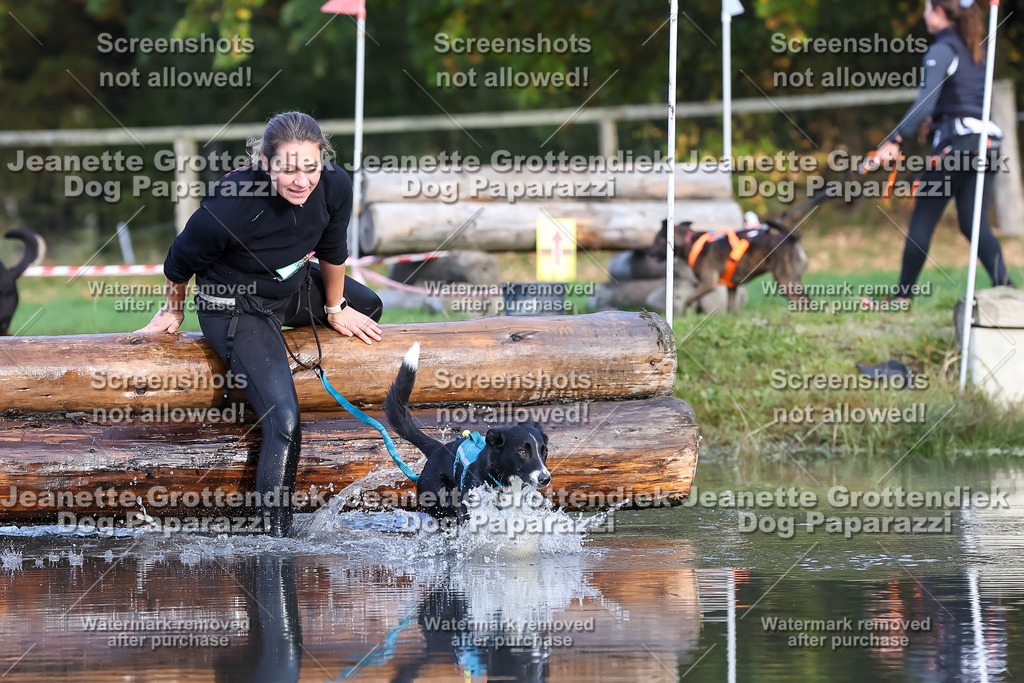 Dog Paparazzi - Strongdog 10-25-8239 | Dog Paparazzi Jeanette Grottendiek Fotografie & Videografie - Realisiert mit Pictrs.com