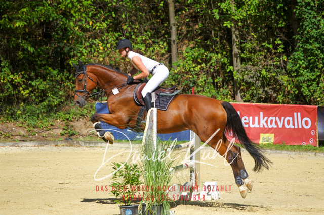 DKP43245 | Turniersportfotografie; Pferdefotografie; Dressurfotografie