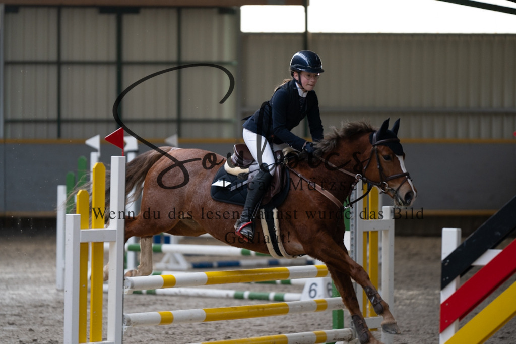 A7V07894 | Pferdefotograf