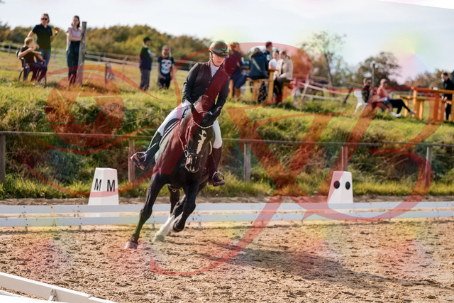 2026_10_03_Siefer-Hof_131721_Z63_79460202 | Professionelle Reitsport-, Turnier- und Eventfotografie von Robert Broda. Galerien mit ausgewählten und bearbeiteten Bildern direkt online ansehen und bestellen.