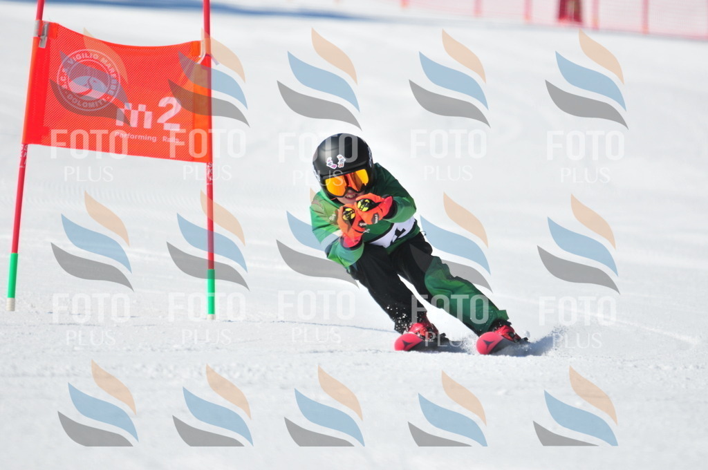 C3217 | holidayphoto