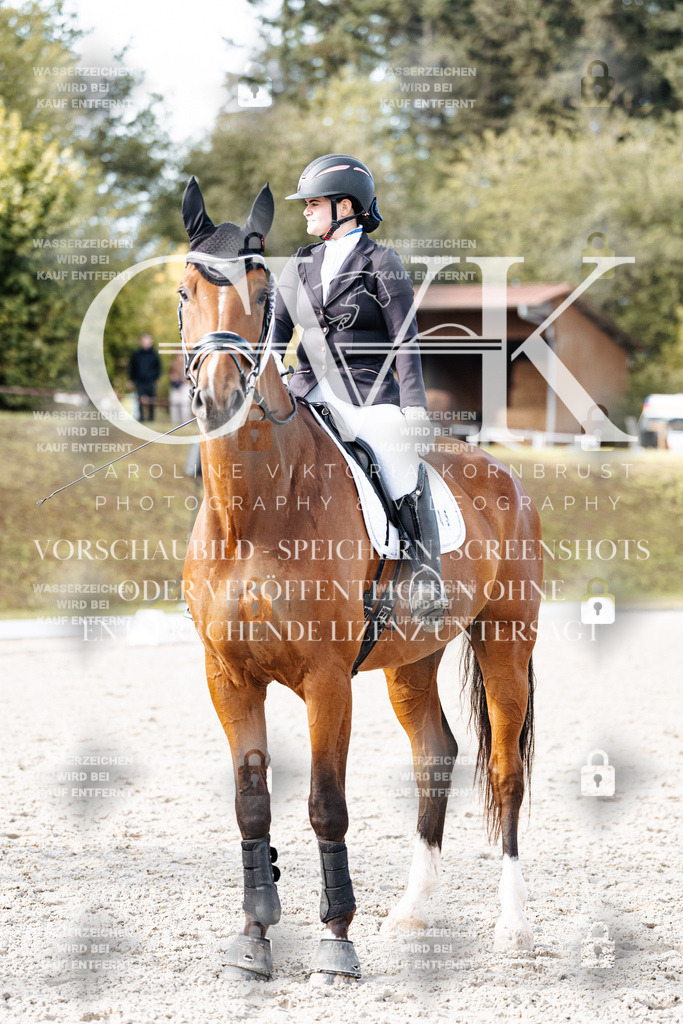 CK901419 | Turnierfotografie Pferdefotografie Trier Rheinland-Pfalz Pferdesport Reitsport Tierfotografie Sportfotografie Pferdevideo Pferdevideografie Equestrianvideography equestrianphotography  - Realisiert mit Pictrs.com