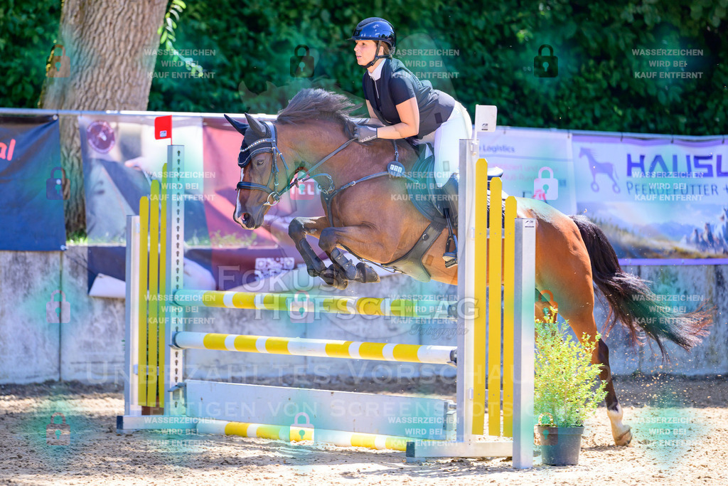 29082026-Giesenbach-Prfg10-0858 | Fokus Hufschlag Fotografie - Realisiert mit Pictrs.com