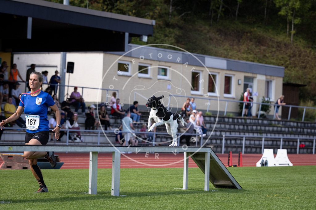 Pfotenfotografie_DV3A9809 | Hundefotografie, Tierfotograf, Pfotenfotografie, Fotoshooting Hund, Hunde Portrait, Hundesport, Hundeportraits, Heideshooting, Hunde, Sportfotograf, Hundefotograf, Turnierhundsport, THS,  - Realisiert mit Pictrs.com