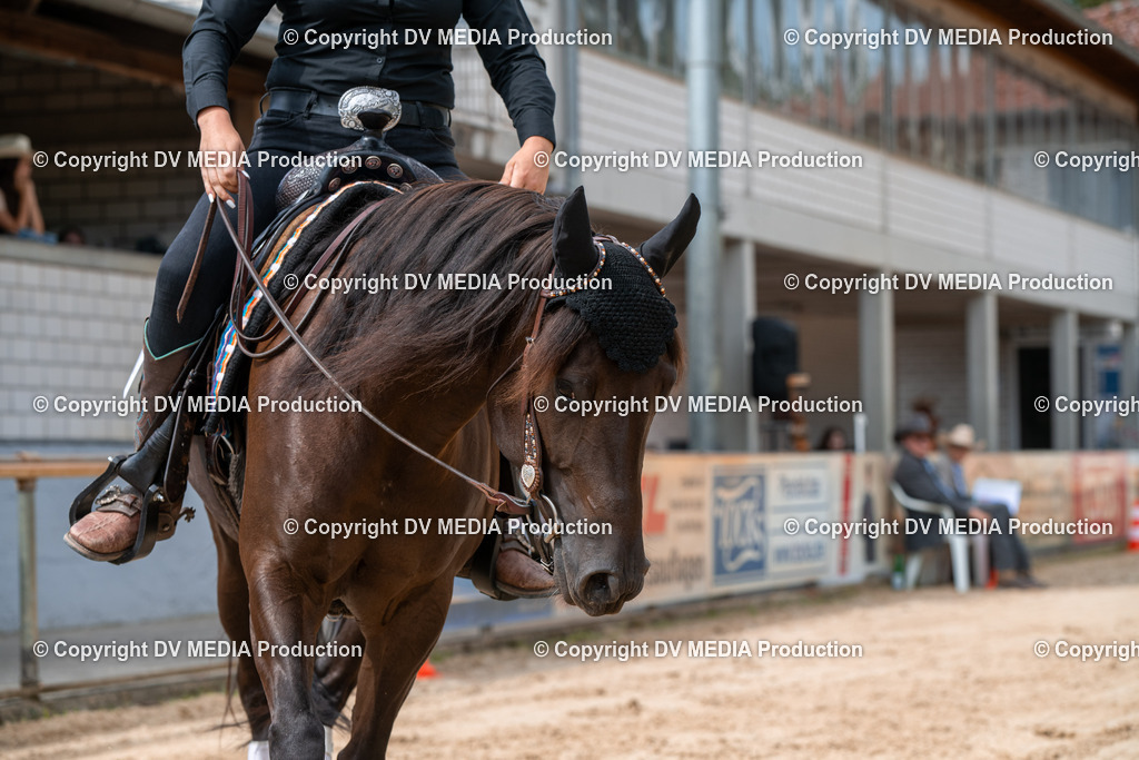 ZS3_9492 | dv-media-shop - Realisiert mit Pictrs.com