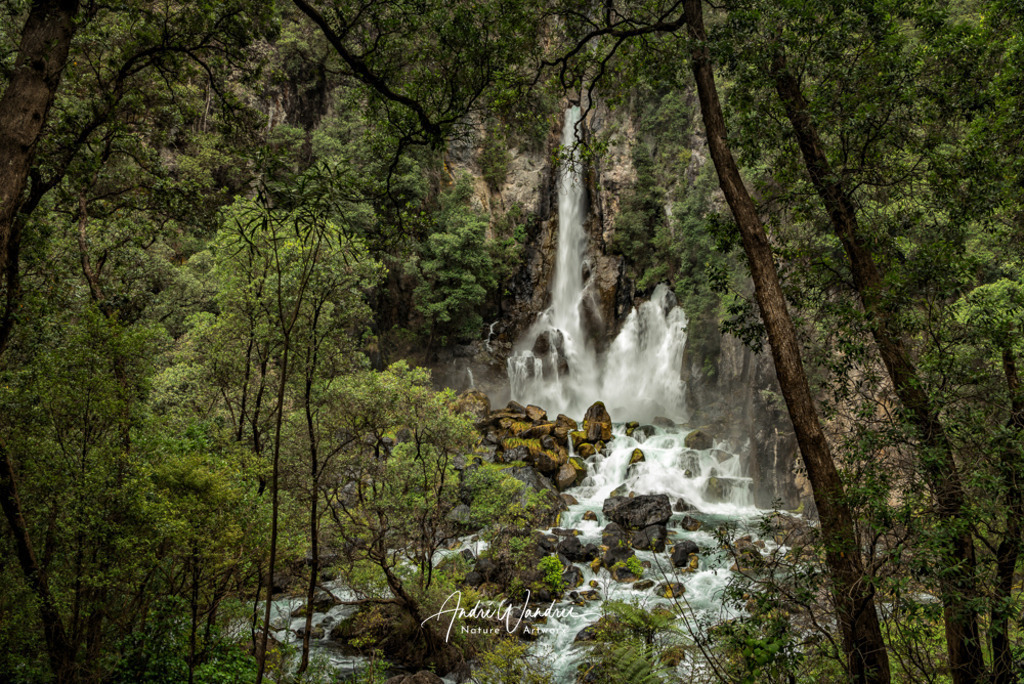 Urwaldidylle | Andre Wandrei - Nature Artworx - Realisiert mit Pictrs.com